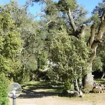 Oda ve Kahvaltı Casa Solotti