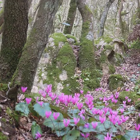 Casa Solotti 컨트리하우스 누오로