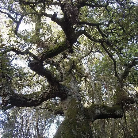 Casa Solotti 컨트리하우스