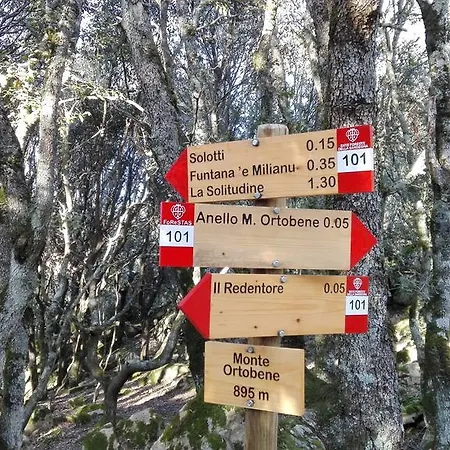 Casa Solotti 누오로